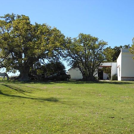 Estancia Los Plátanos Valentines Exterior foto