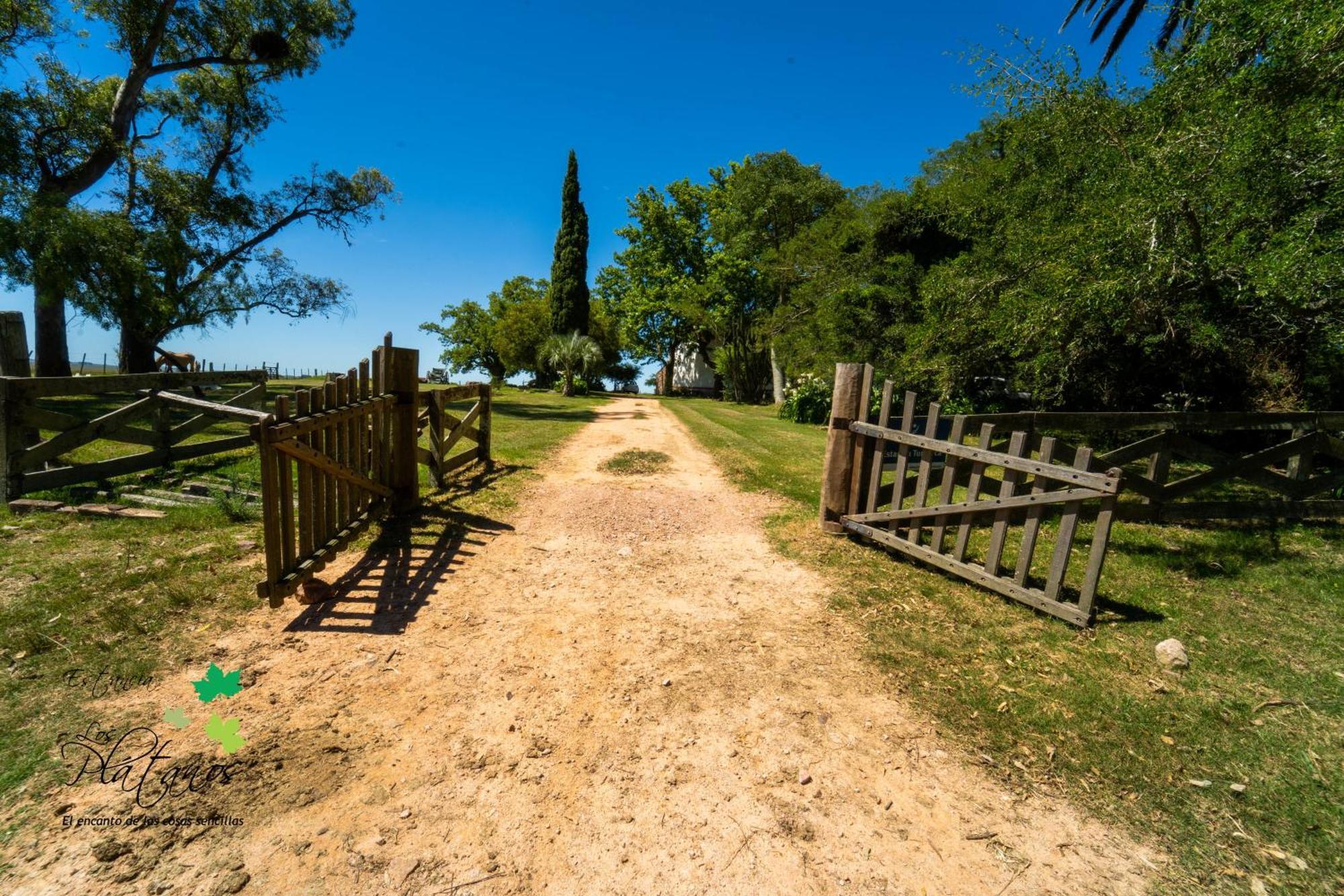 Estancia Los Plátanos Valentines Exterior foto