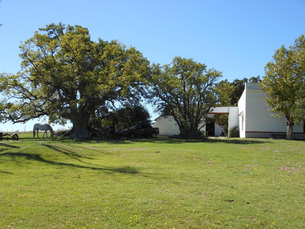 Estancia Los Plátanos Valentines Exterior foto