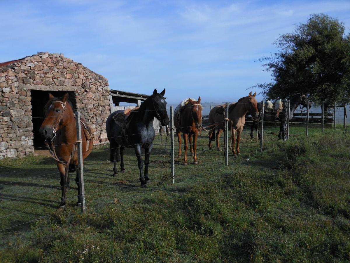 Estancia Los Plátanos Valentines Exterior foto